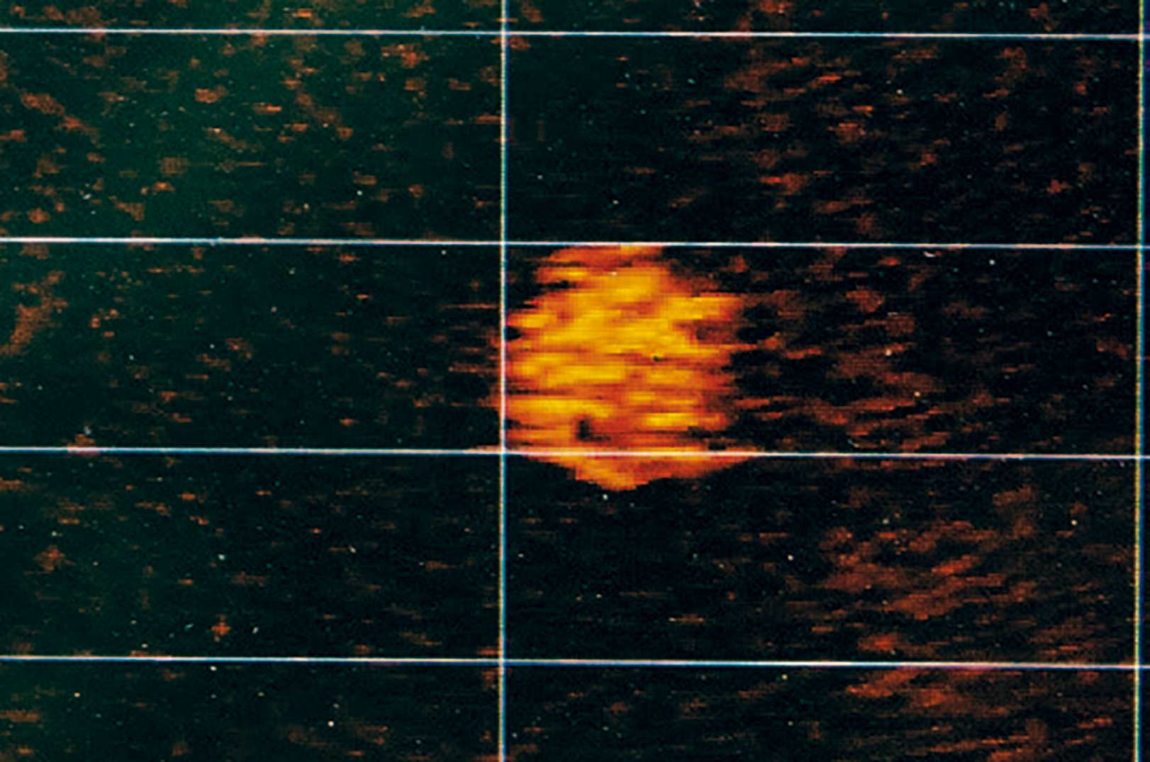 Når en stime føler sig truet af rovfisk i nærheden, stimler de tæt sammen i en kugle - som du kan se her vist med LiveScope.