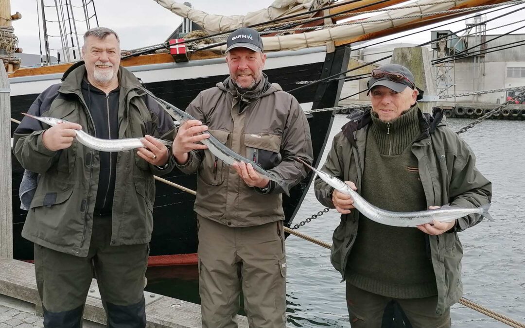 Vinderne af hornfiskekonkurrencen på Naksskov Sportsfiskerforenings årlige hornfisketur.