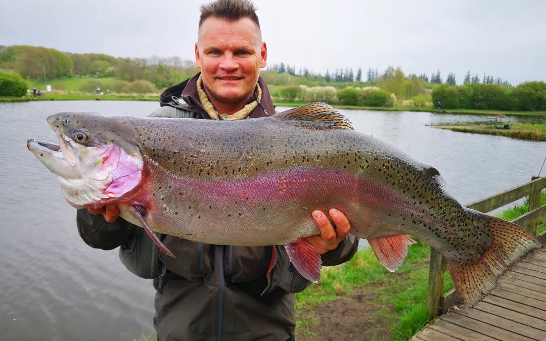 Klaus Hansen med sin flotte regnbueørred fra Munkbro Put and Take