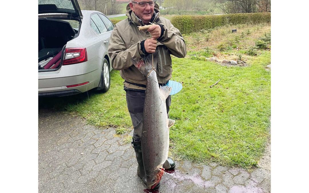 Poul Møller med sin flotte laks fra Varde Å taget på flue.