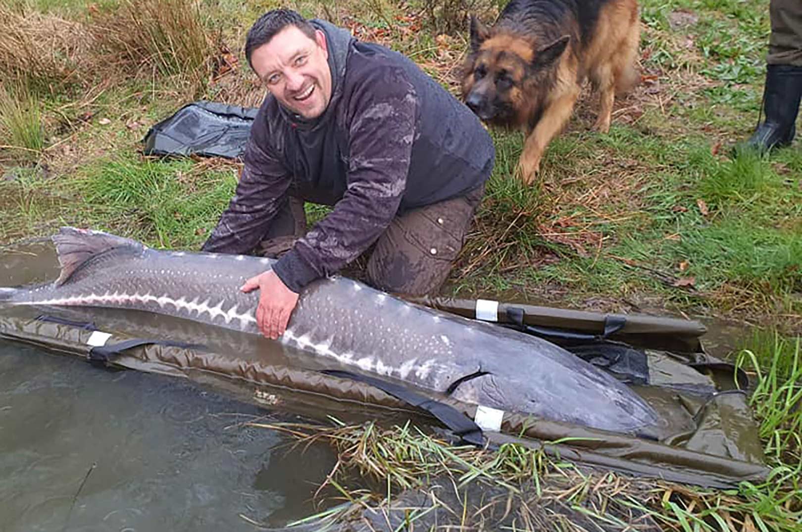 STORSTØR MED HANG TIL GODE BOLLER - Fisk & Fri