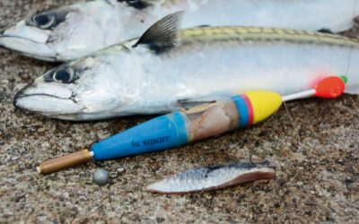 HAVFISKERI: LOK FISKENE TIL DIN AGN