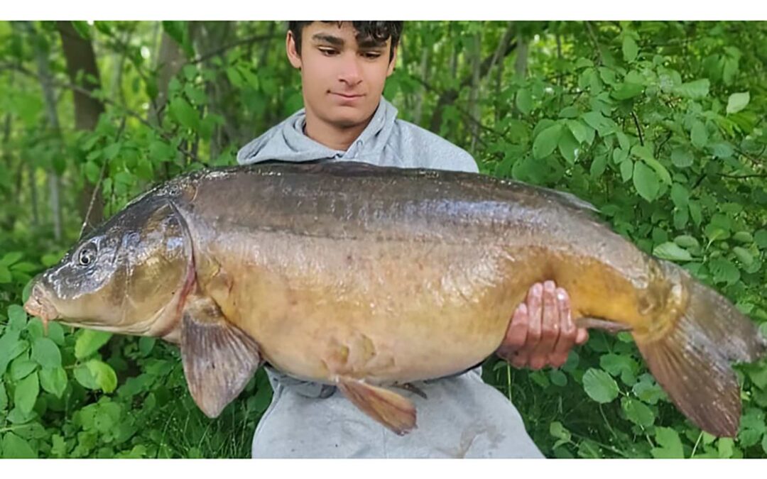 Mark Hestbæk med sin flotte 15 kilos karpe fra et stort offentligt vand.