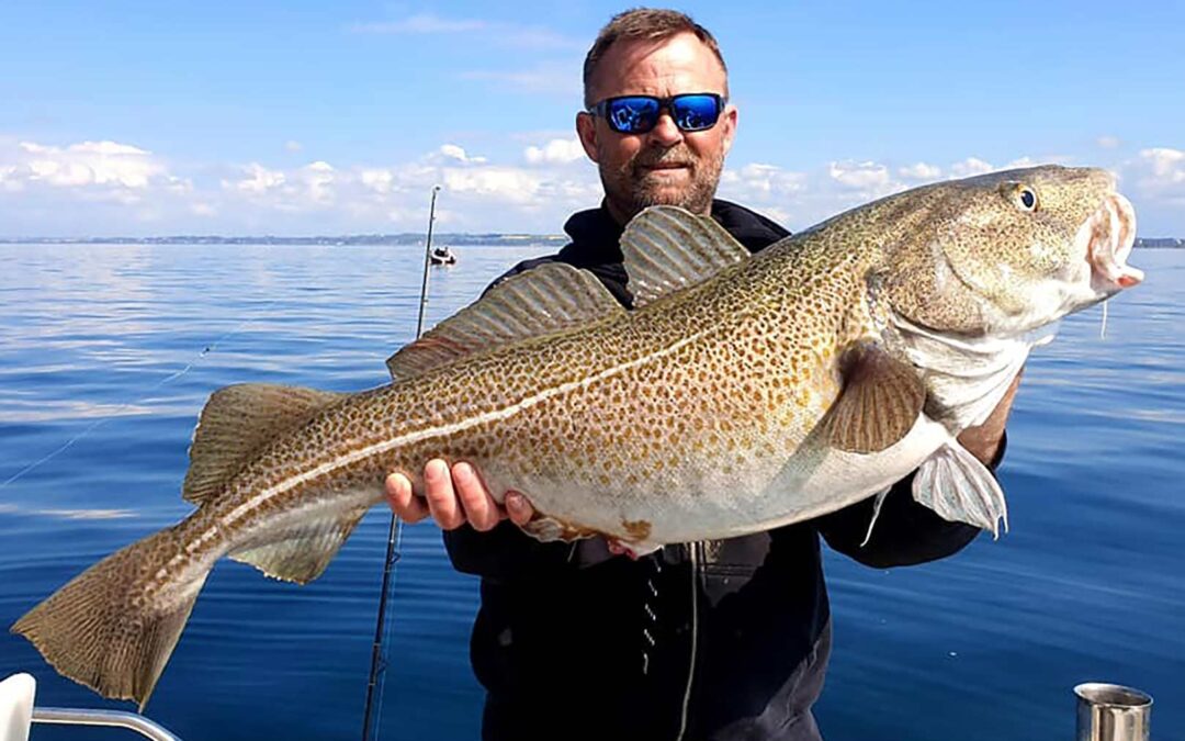 Jesper Lyngsie med en fin torsk fra Øresund