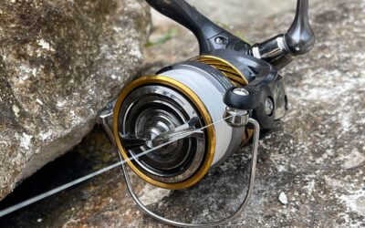 FISK & FRI TEST: DAIWA LAGUNA LT – MASSER AF KVALITET FOR PENGENE