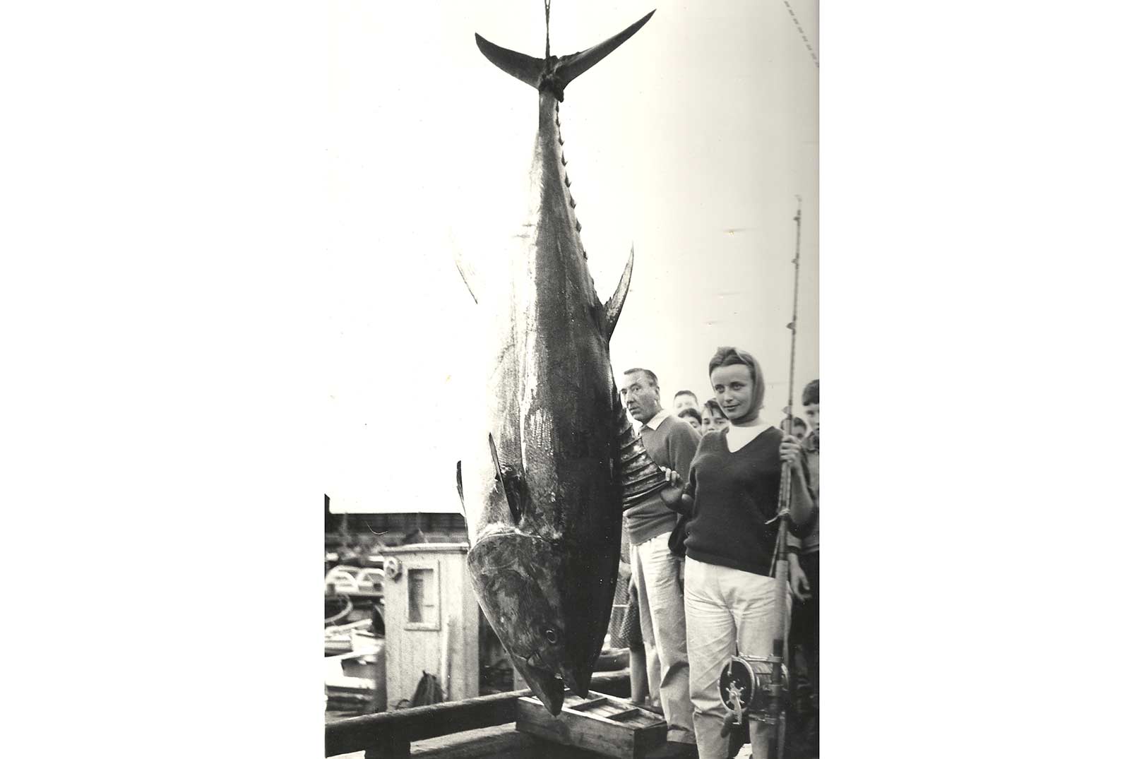 1. september 1960: Birgitte Kyvsgaard med tunen på 272 kilo, som var ny europarekord for kvinder. Knud (tv) fik ogs en mindre fisk på "kun" 235 kilo.