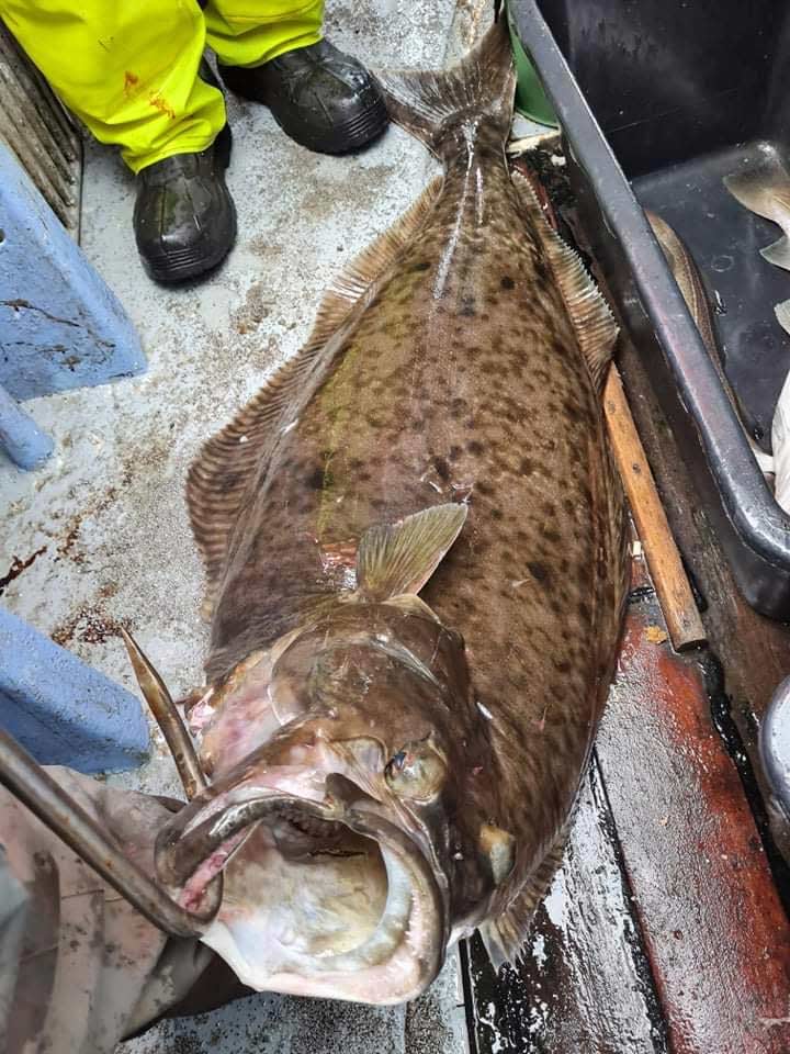 32 kilo vejede den flotte helleflynder Flemming Lagersted Jørgensen fangede.