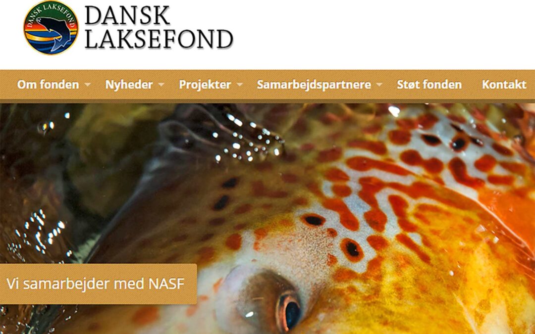Dansk Laksefond afholder laksekonfrerence