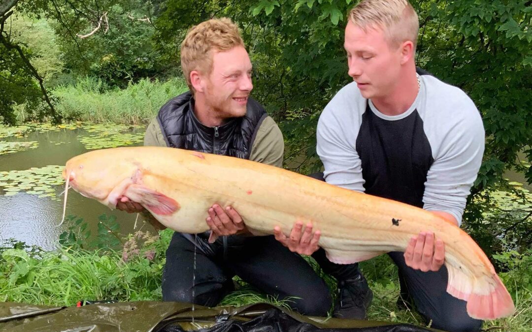 Nicolai og Alexander Storm med deres flotte albinomalle, der huggede en flådfisket skalle
