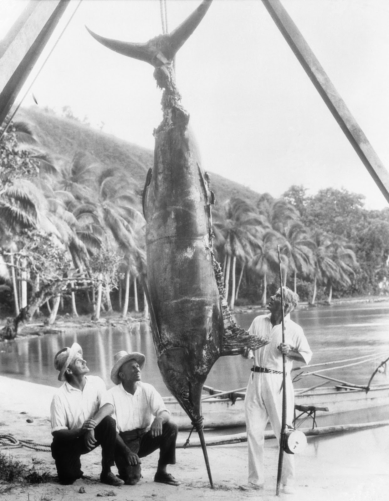 Zane Grey dyrkede sit elskede big game fiskeri overalt på kloden.