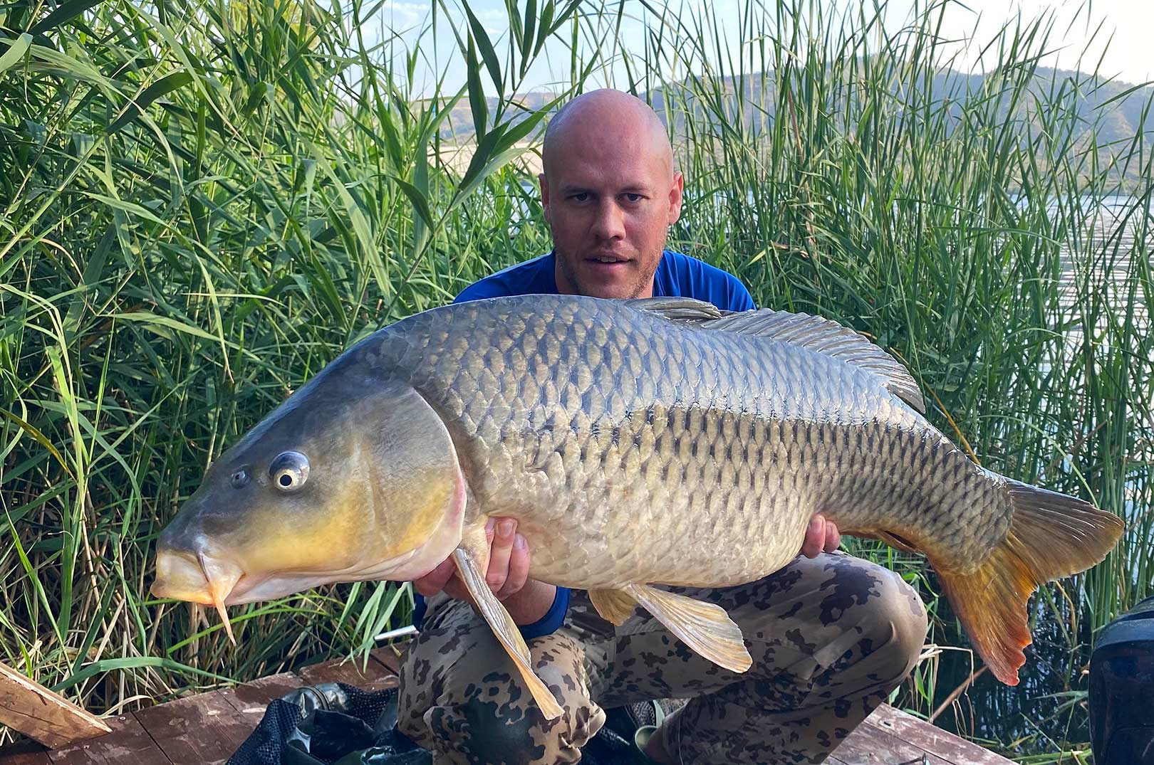 Ebro-floden i det nordøstlige Spanien byder på et fantastisk fiskeri efter ikke blot kæmpemaller - men også flotte skælkarper som denne på 15,9 til Mark Buch Jørgensen.