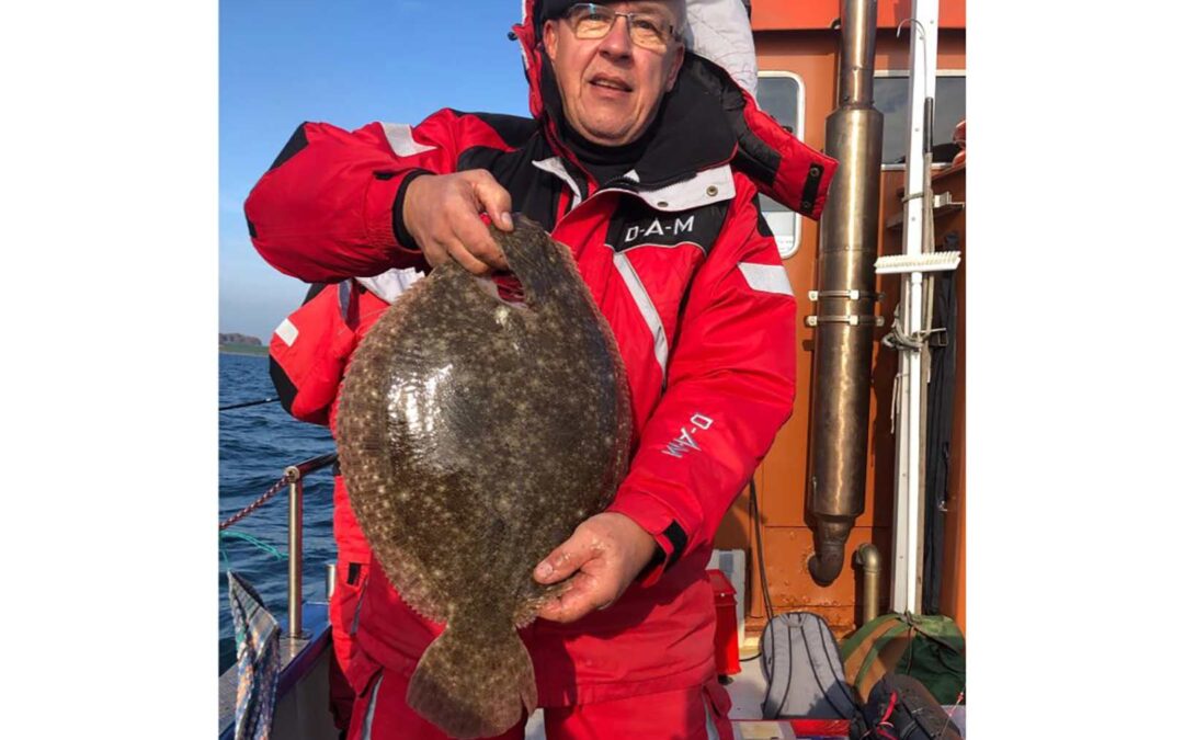 Denne flotte fladfisk blev taget ombord på det gode skib Drost i Langelandsbæltet.