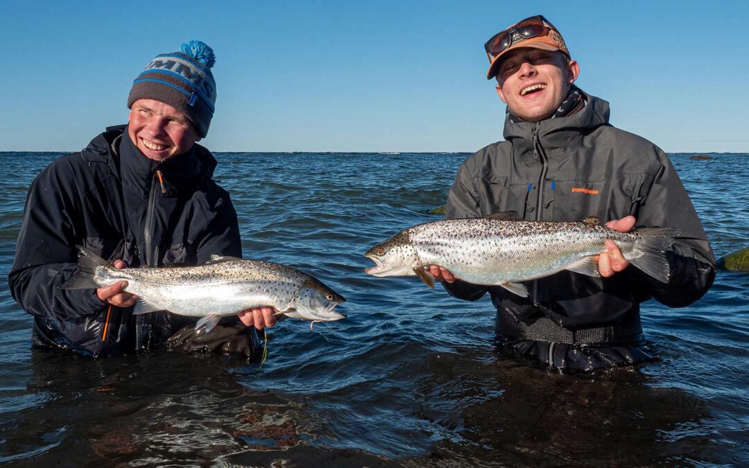 Rasmus og Mikkel med to flotte blankfisk