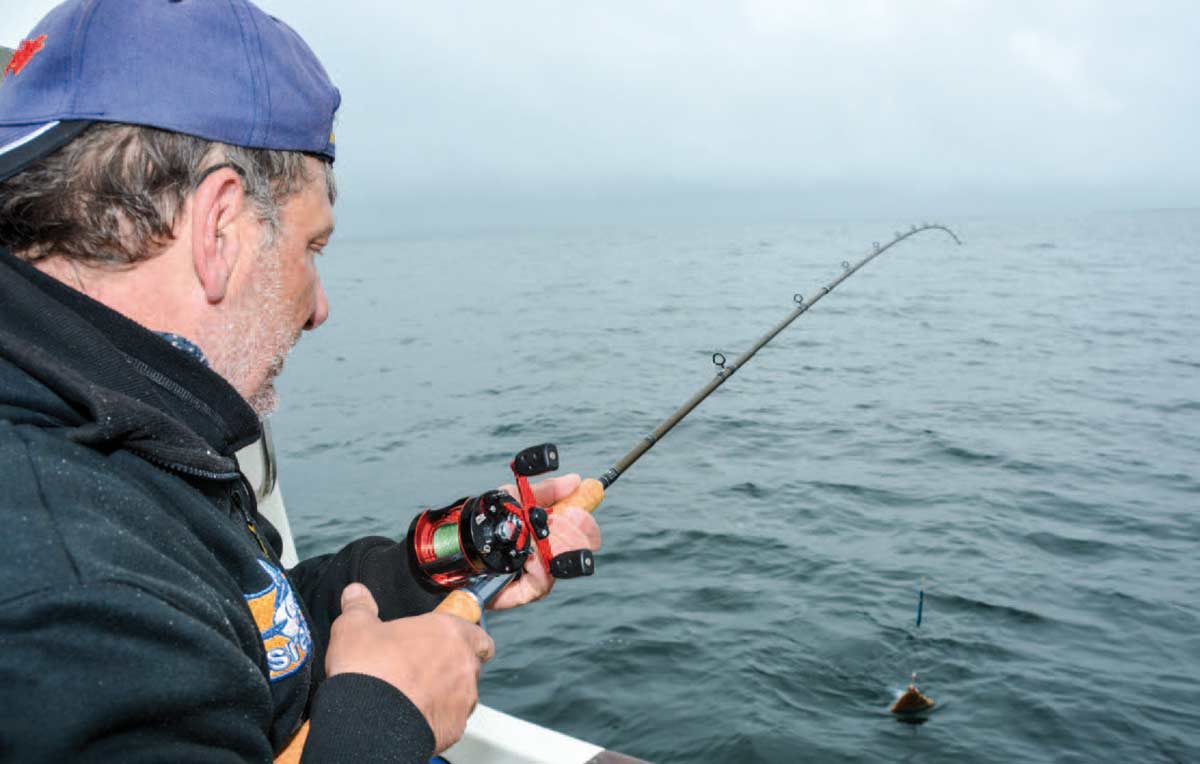 Leonard Muys, har mange års erfaring med fiskeriet efter de flade på Langelandsbæltet, og er også første mand til at fange fisk på turen.