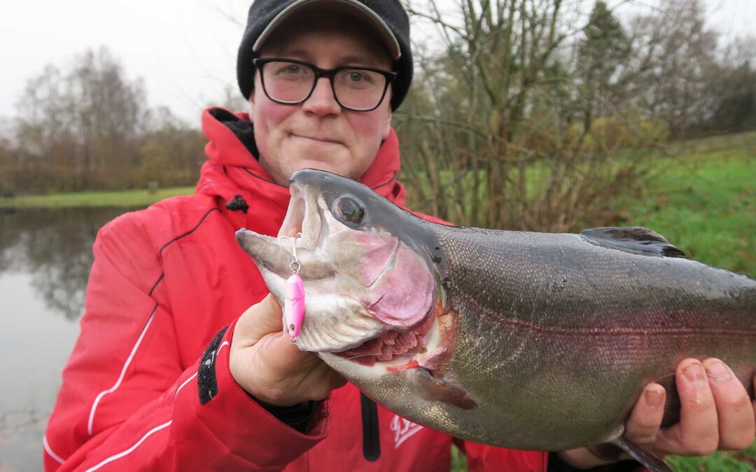 Forfatteren med en fin fisk der tog en tolv grams Diamond Sandeel fra Rhino i farven pink. Blinkene bliver leveret med både en enkeltkrog og en trekrog.