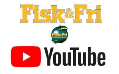 FISK & FRI SØGER VIDEOJOURNALISTER