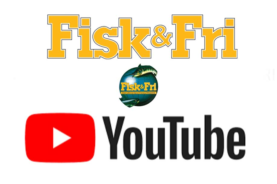Fisk & Fri søger videojournalist