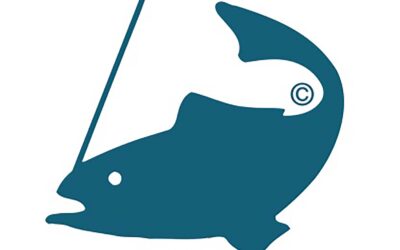 Danmark ophæver status som fri for fiskesygdommen IHN