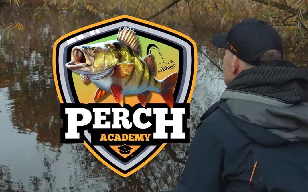 I Savage Gears Perche Academy kan du lære at fiske aborrer med Texas og Carolina Rigs