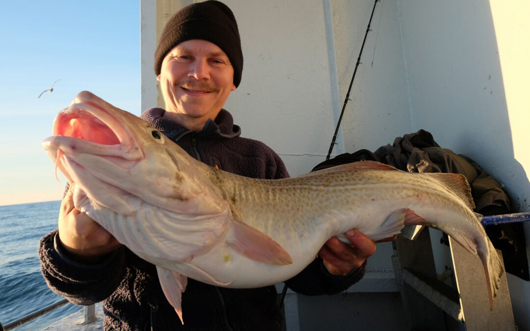 Kasper Strube med sin flotte torsk taget om bord på Bodil på Nordsøen