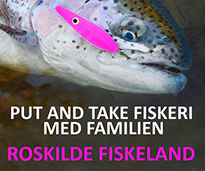Roskilde Fiskeland familie put and take