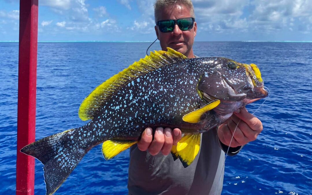 Søren Vesth med en yellow grouper fra Maldiverne