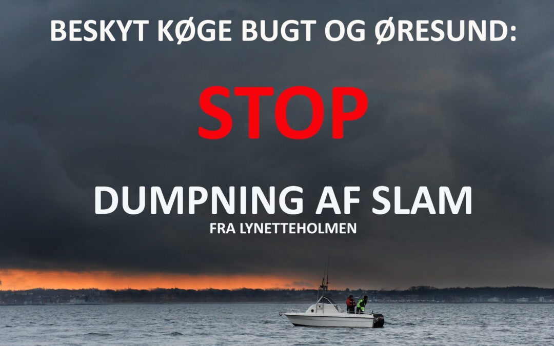 Stop Lynetteholmen - beskyt Øresund og Køge mod giftigt slam