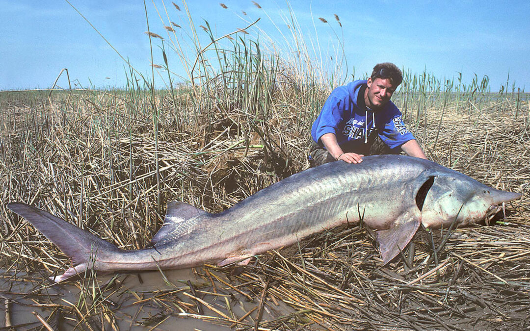 Johnny Jensen med en kæmpestor stor fra Uralfloden i Kazakstahn.