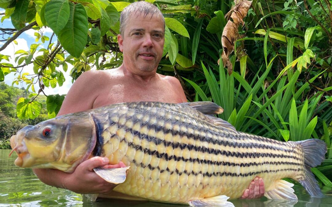 Preben Riis Klausen med en fantastisk Jullien’s golden carp fra Gillhams Resort i Thailand