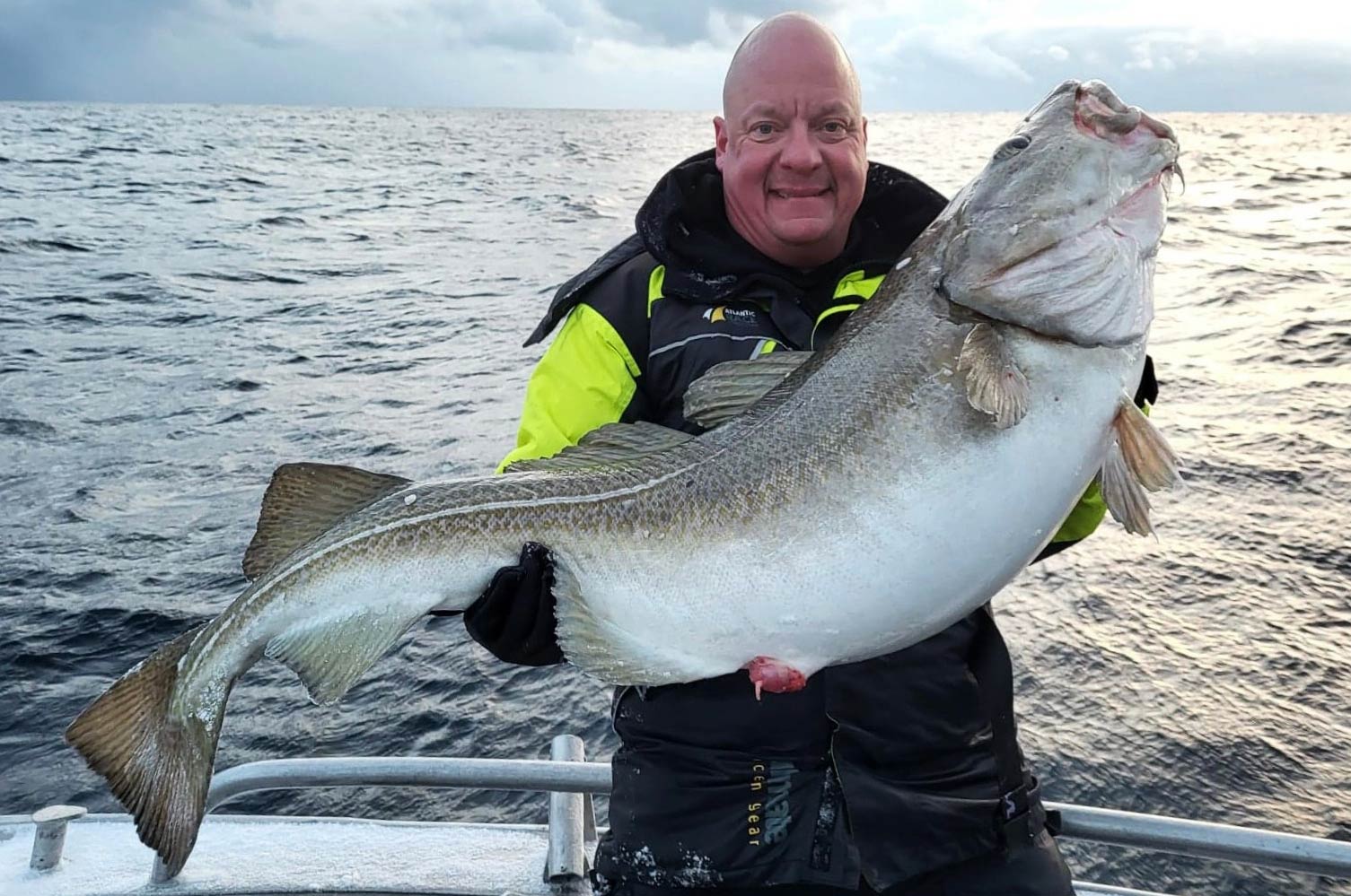 Carsten Faber med sin 30,5 kilos torsk. Øverst Lasse Thermøe med sin gigantiske 38 kilos torsk.