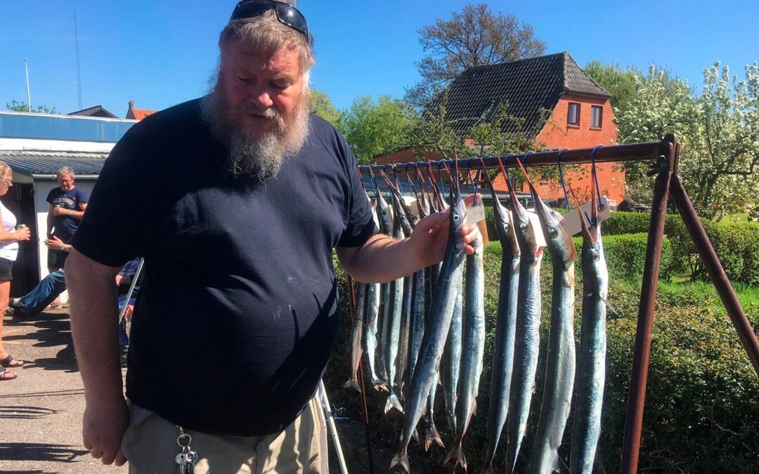 Høng Sportsfiskerforening afholder igen i år hornfiskekonkurrence