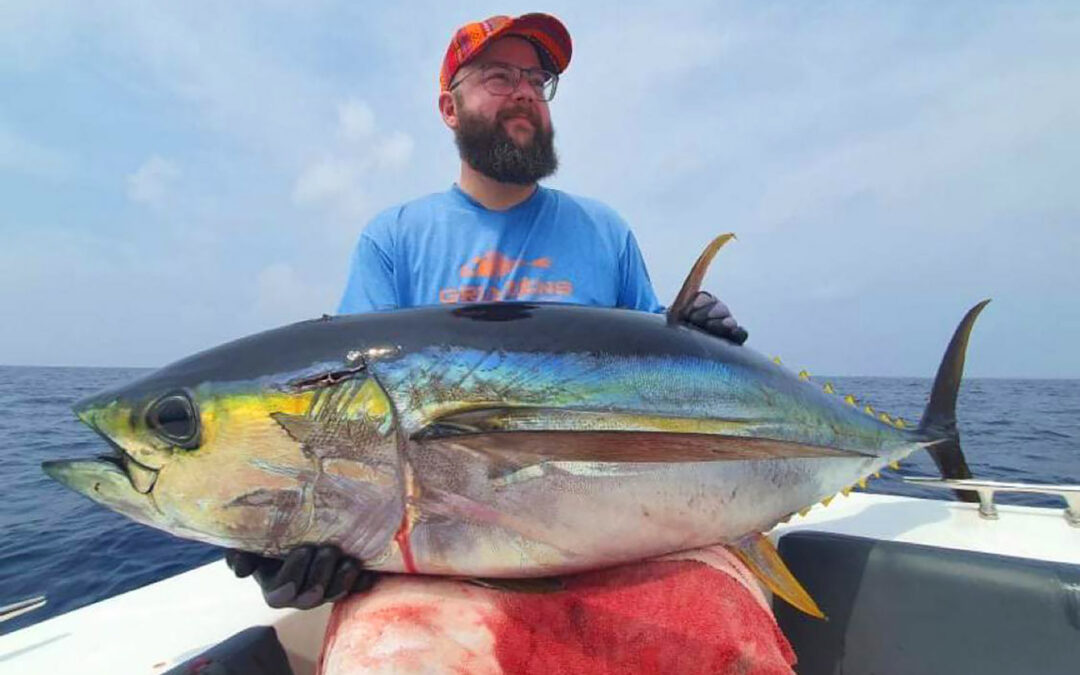 Yellowfin tun fra Maldiverne