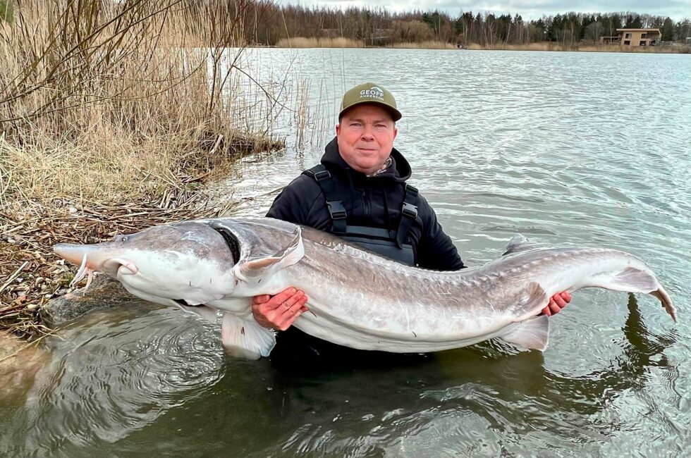 50 KILO+ BELUGA FRA SIMONS - Fisk & Fri