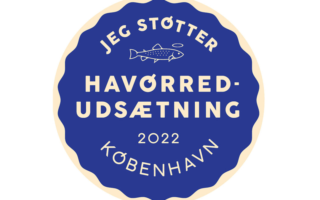 Havørred udsætning København 2022