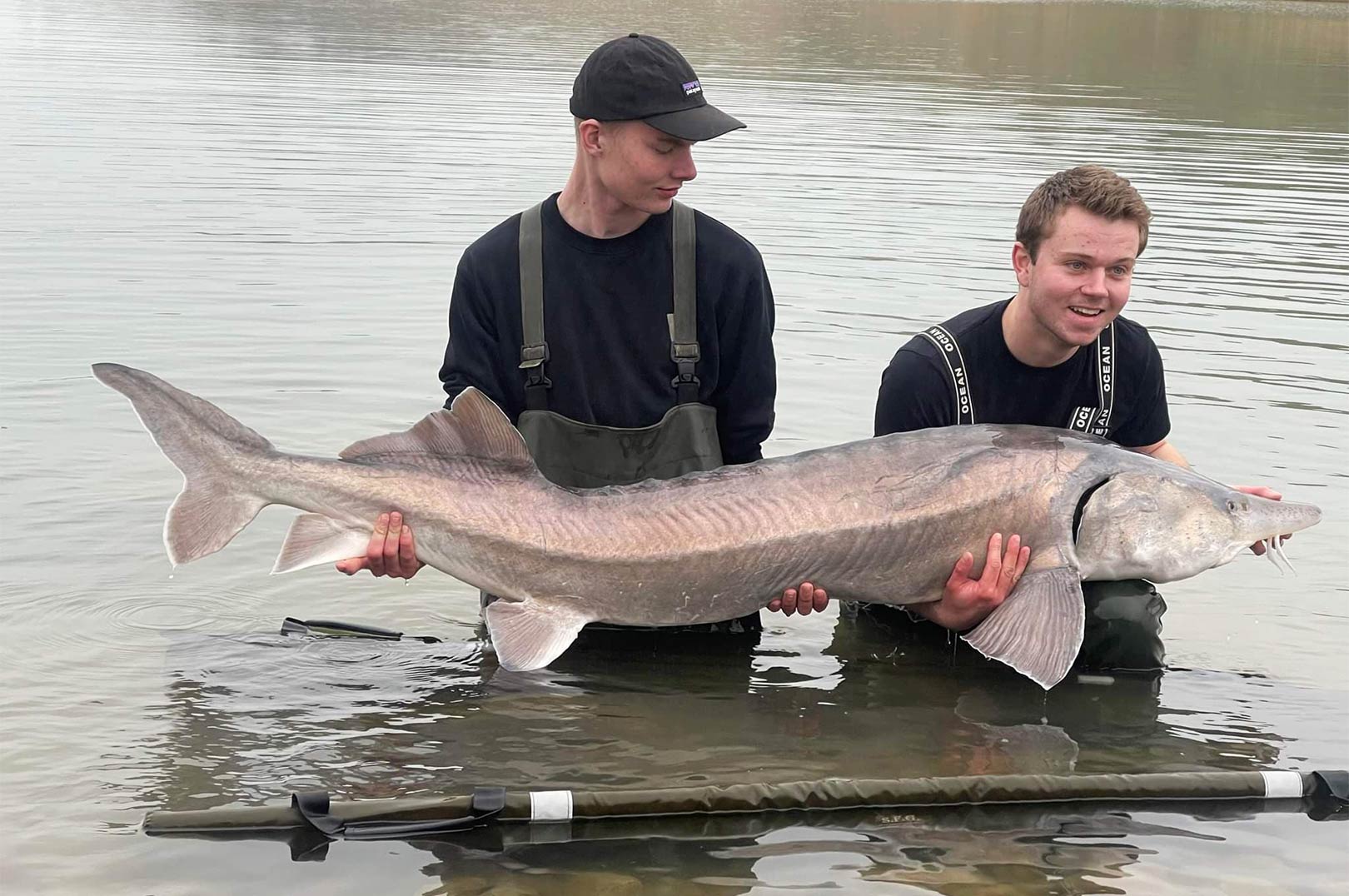 50 KILO+ STØR FRA BLUE ROCK - Fisk & Fri