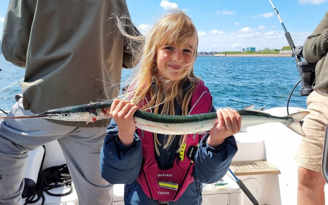 Augusta med fin fine hornfisk fra Øresund