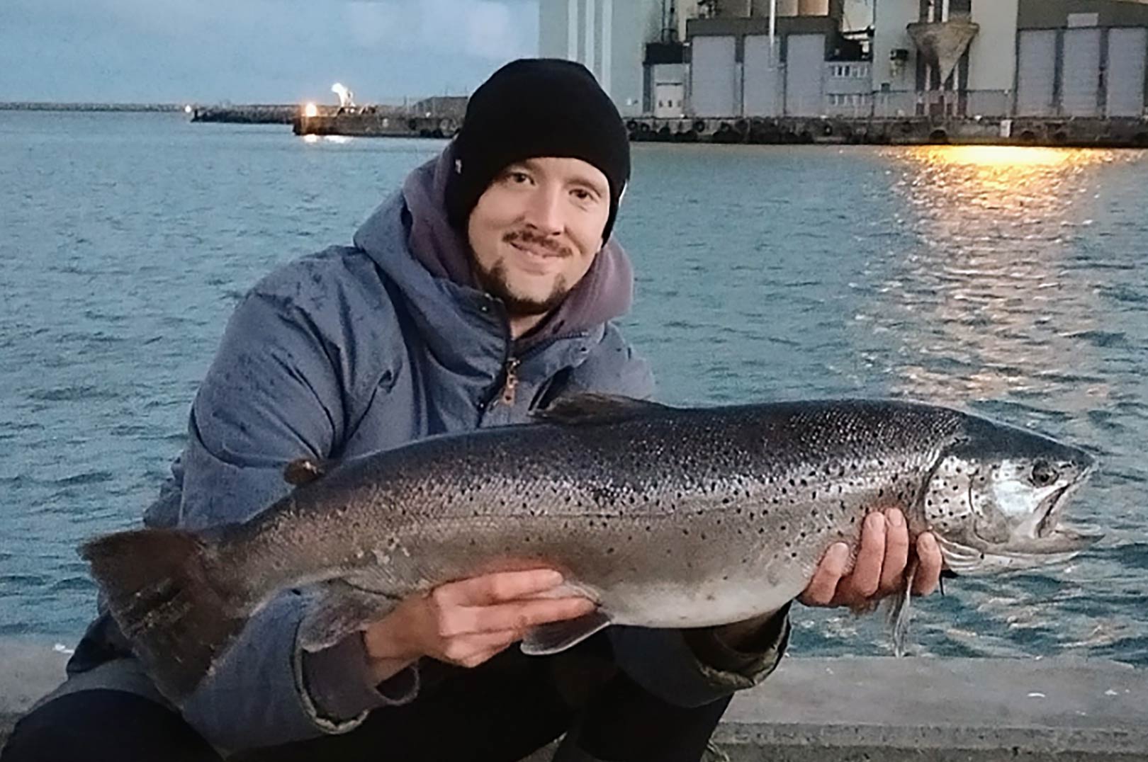 KÆMPEØRRED FRA YSTAD HAVN - Fisk & Fri