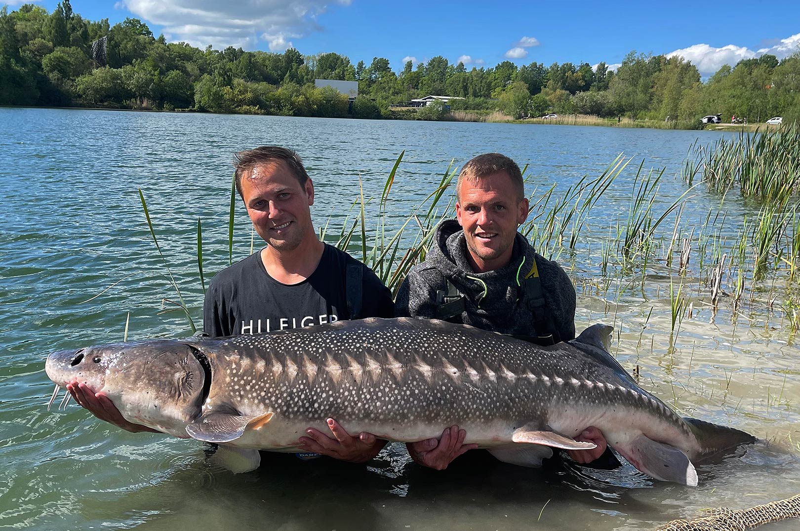 FLERE KÆMPESTØR VED DRIVE IN - Fisk & Fri