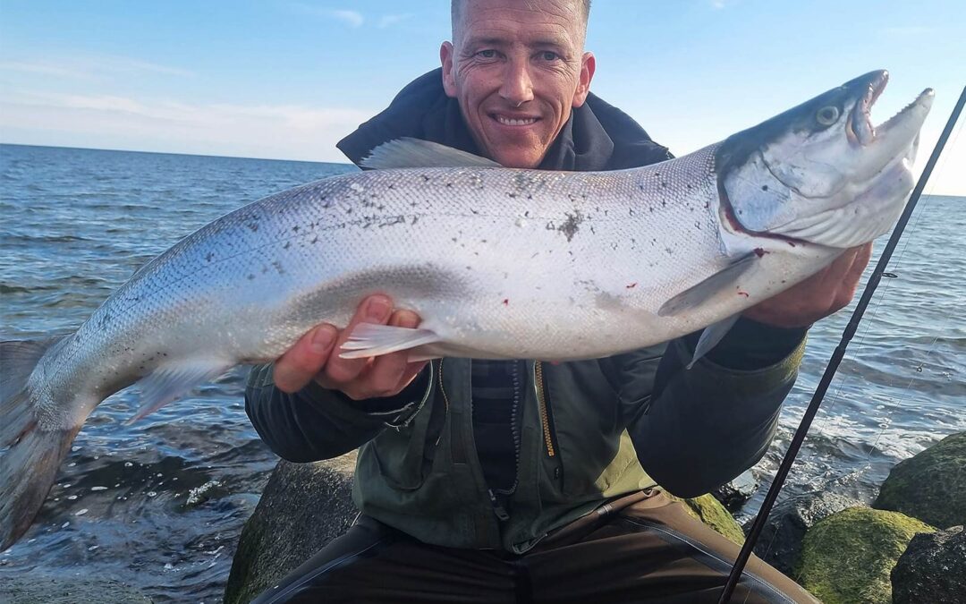 Søren Nordberg havørred sølv