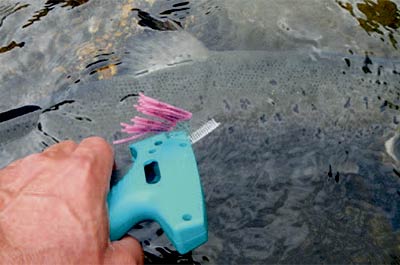 Laksefiskerne hjælper i øvrigt forskerne ved at tage skælprøver og mærke laksene inden genudsætning.