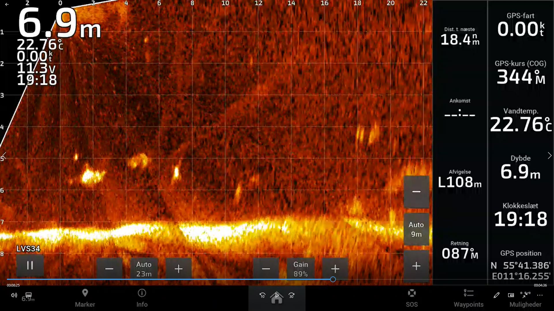 Sådan ser det ud på LiveScopet lige inden en gov beluga. Bemærk at både lod og orm kan ses på loddet.