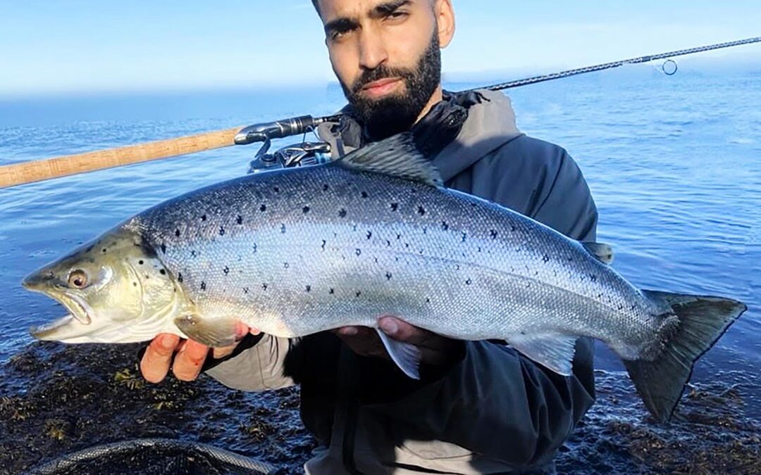 Svenske Hashim Al-Husseini giver den gas med havørrederne på de sydsvenske kyster, hvor der for tiden fanges en hel del fisk: