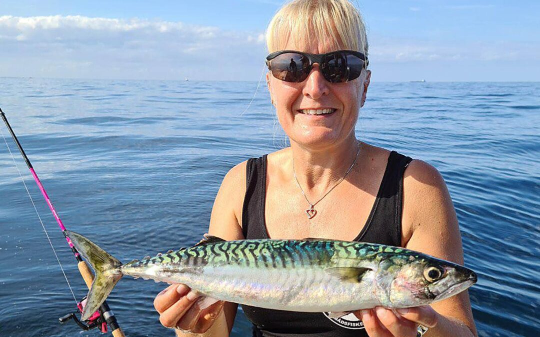 Linda Wehlast Jessen med en flot 800 frams makrel taget i dag.