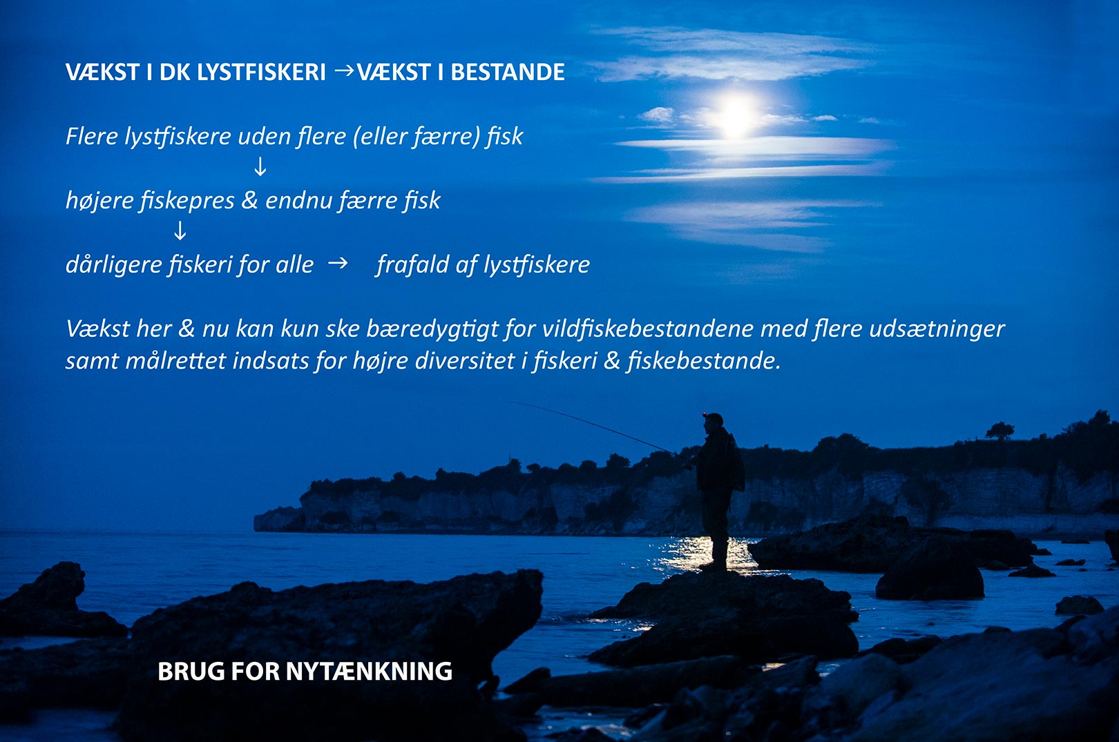 2 - Jens Bursells oplæg til branchedagen for Dansk Lystfiskeri 8. september 2022