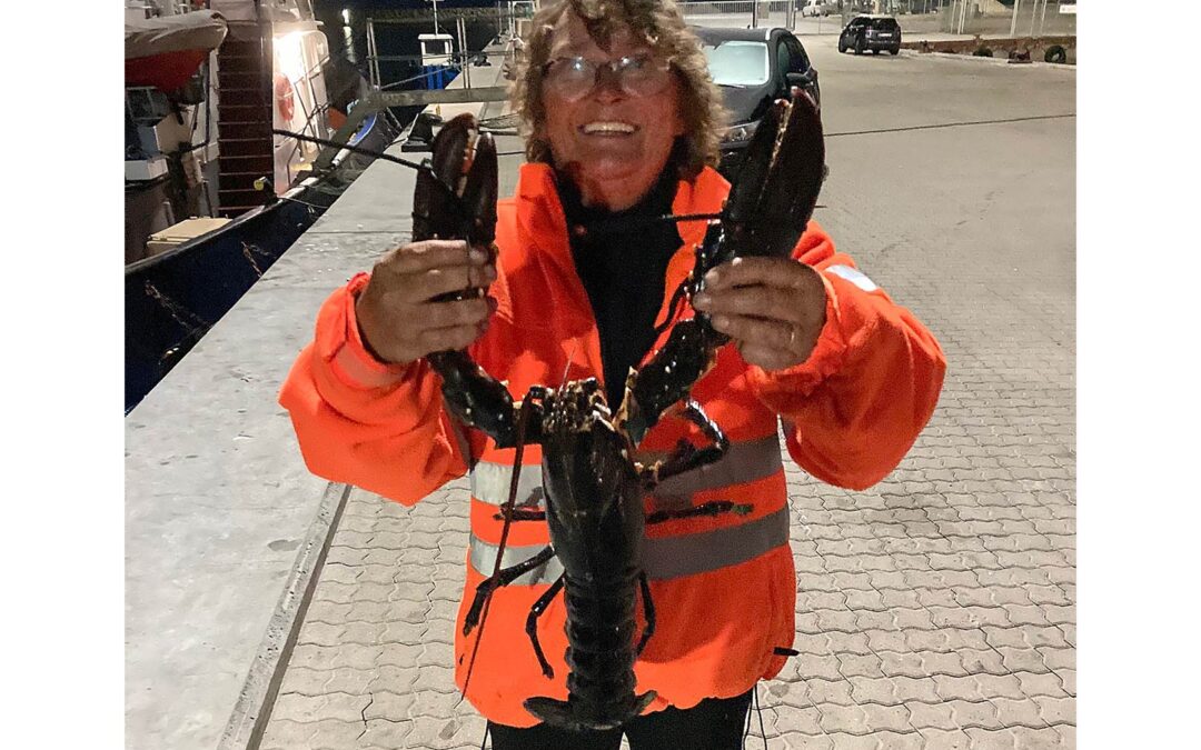 Gitte Soinjoki med sin flotte hummer, der huggede på bundsnørefiskeri