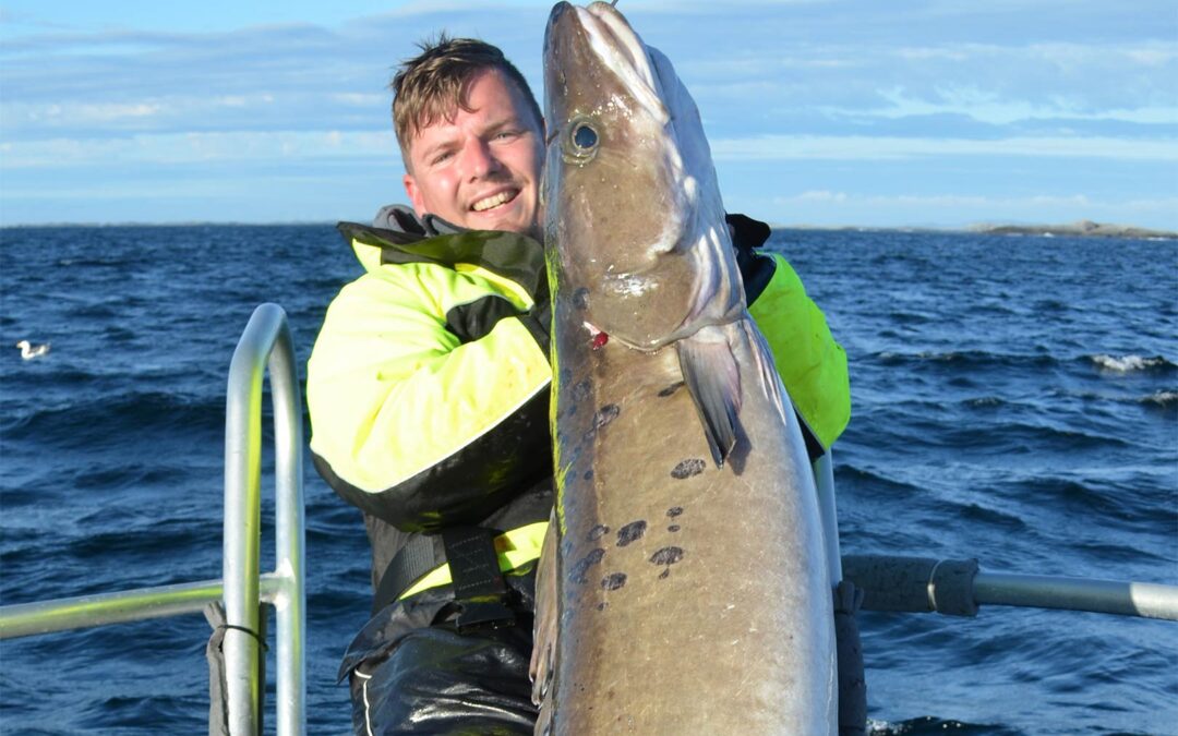 Den største lange på turen til Hitra i Norge endte med at blive denne moppedreng på 23 kilo.