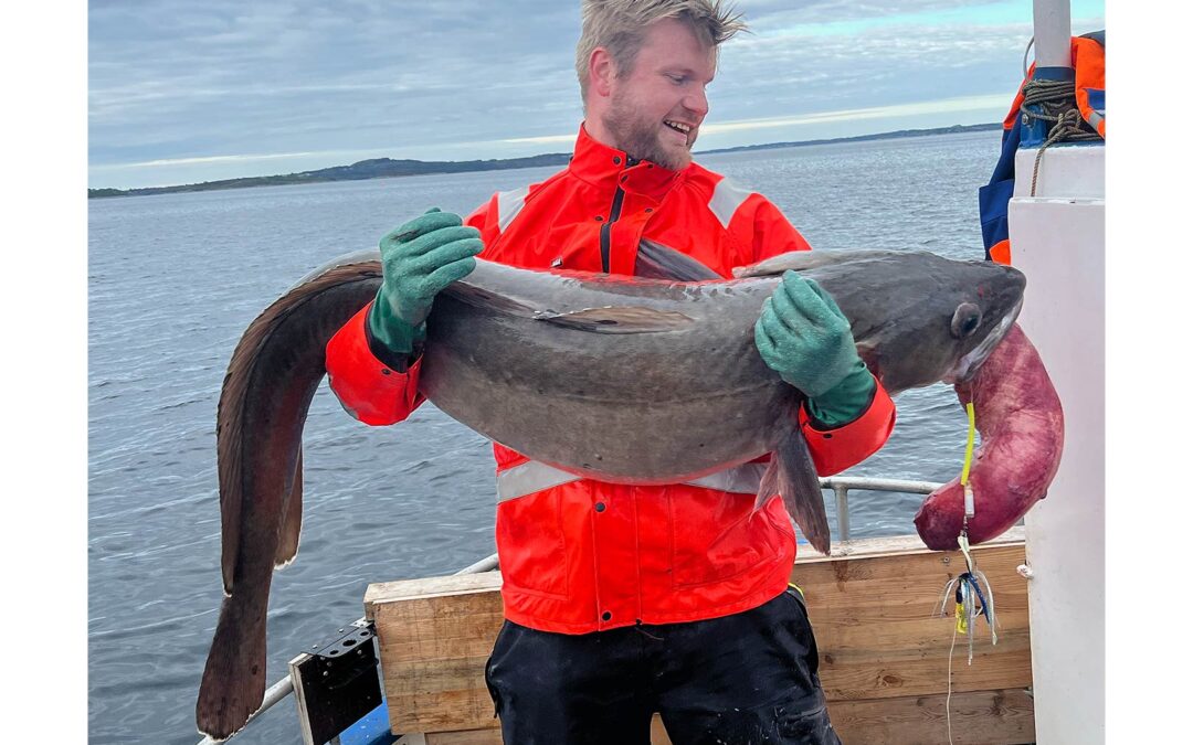 Amund Gjeitnes med sin flotte norske storlange på 37 kilo.