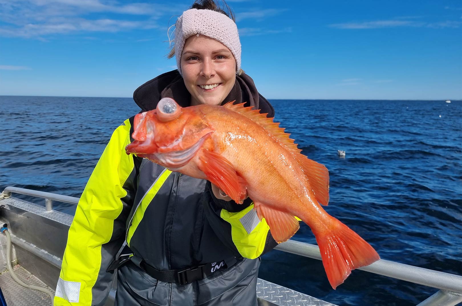 Turen til Hitra i Norge bød på en del flotte rødfisk som denne.