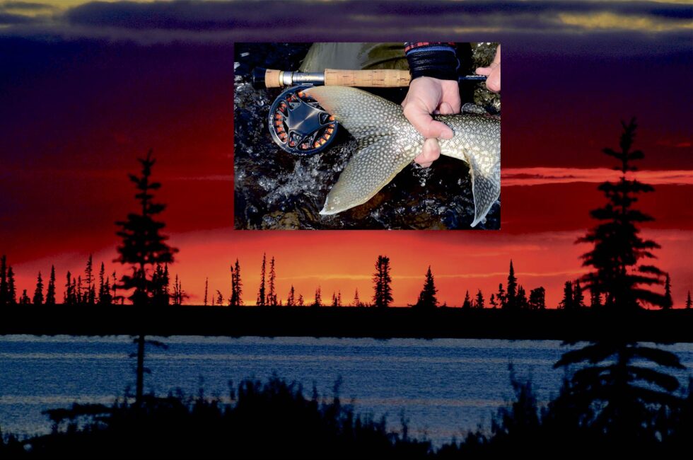 GREAT BEAR LAKE MIDNATSSOL OG MASSIVE SØØRREDER Fisk & Fri