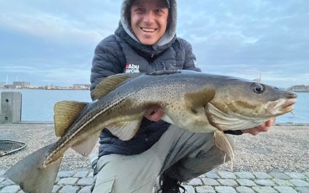 Jonas Kærlin med sin super flotte torsk fra Købrnhavns Havn